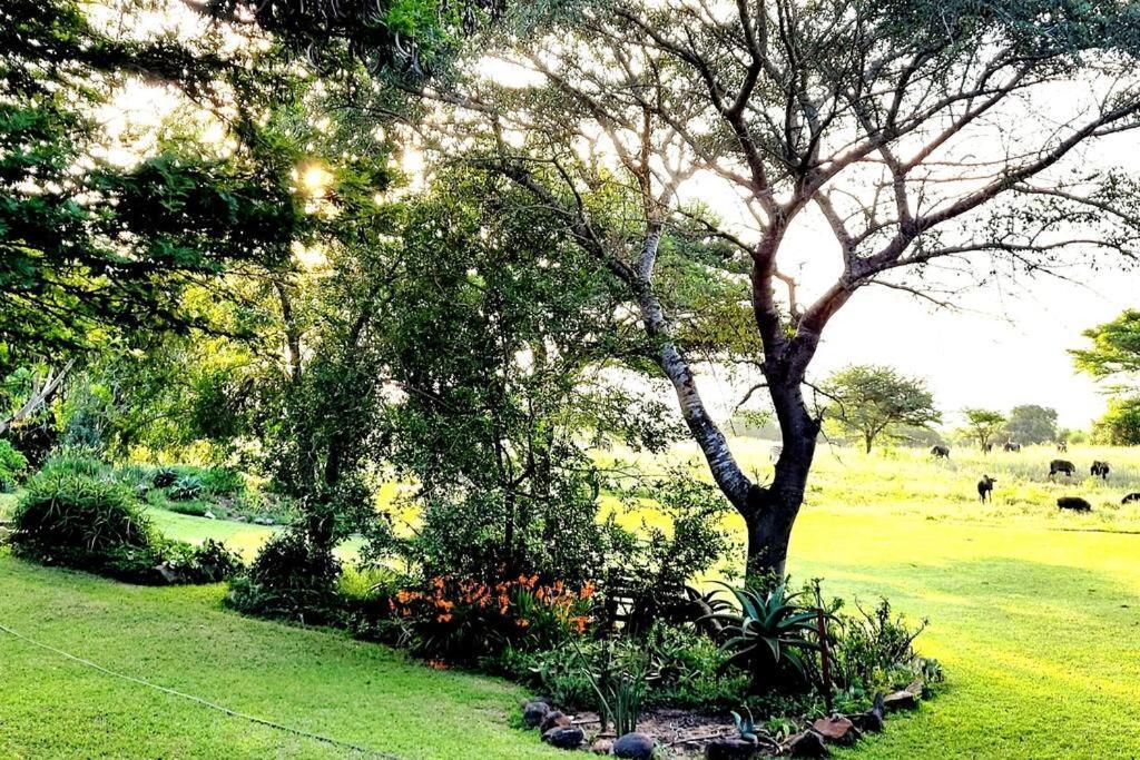 Villa Tchagra House Hluhluwe Esterno foto
